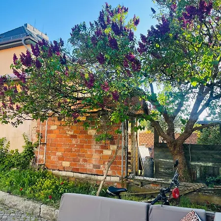 Near Potsdam & Berlin Apartment