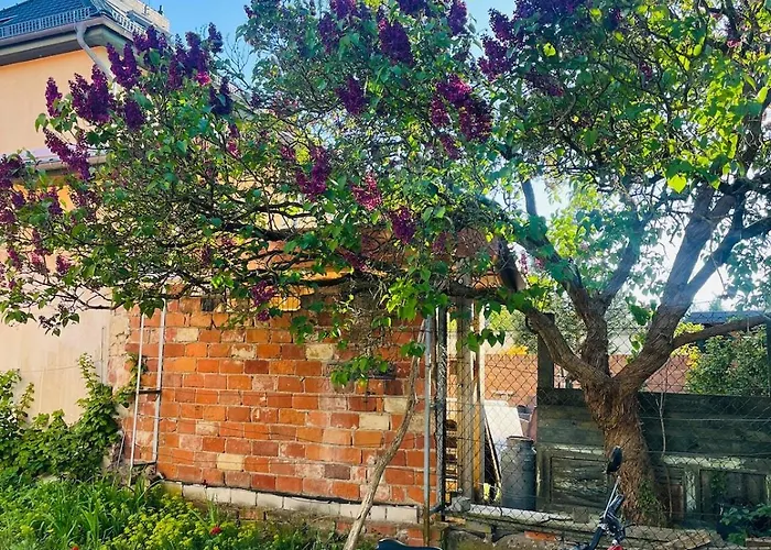 Near Potsdam & Berlin Apartamento